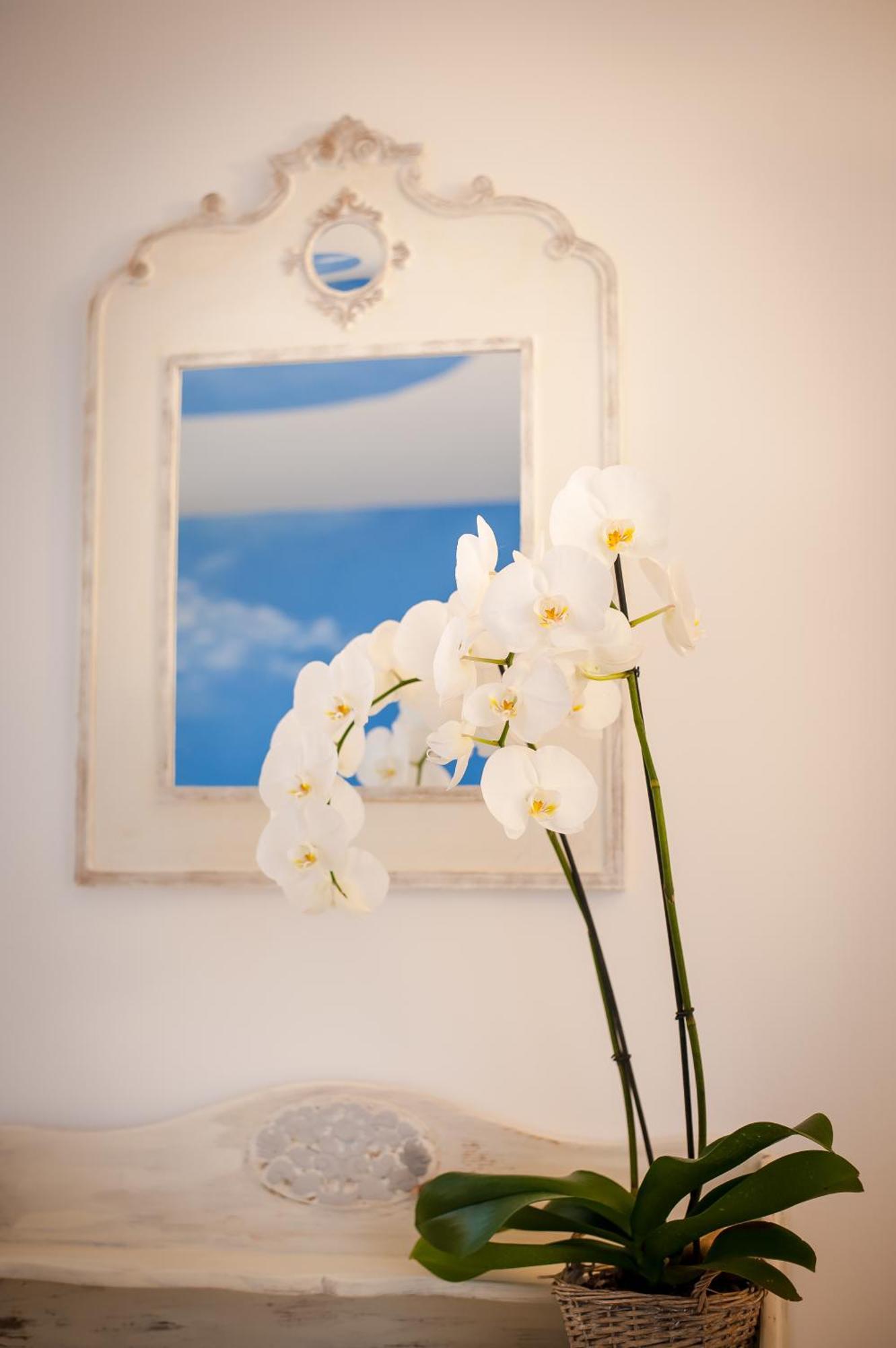 トゥレット・シュル・ルー Les 4 Elements Bed & Breakfast 部屋 写真
